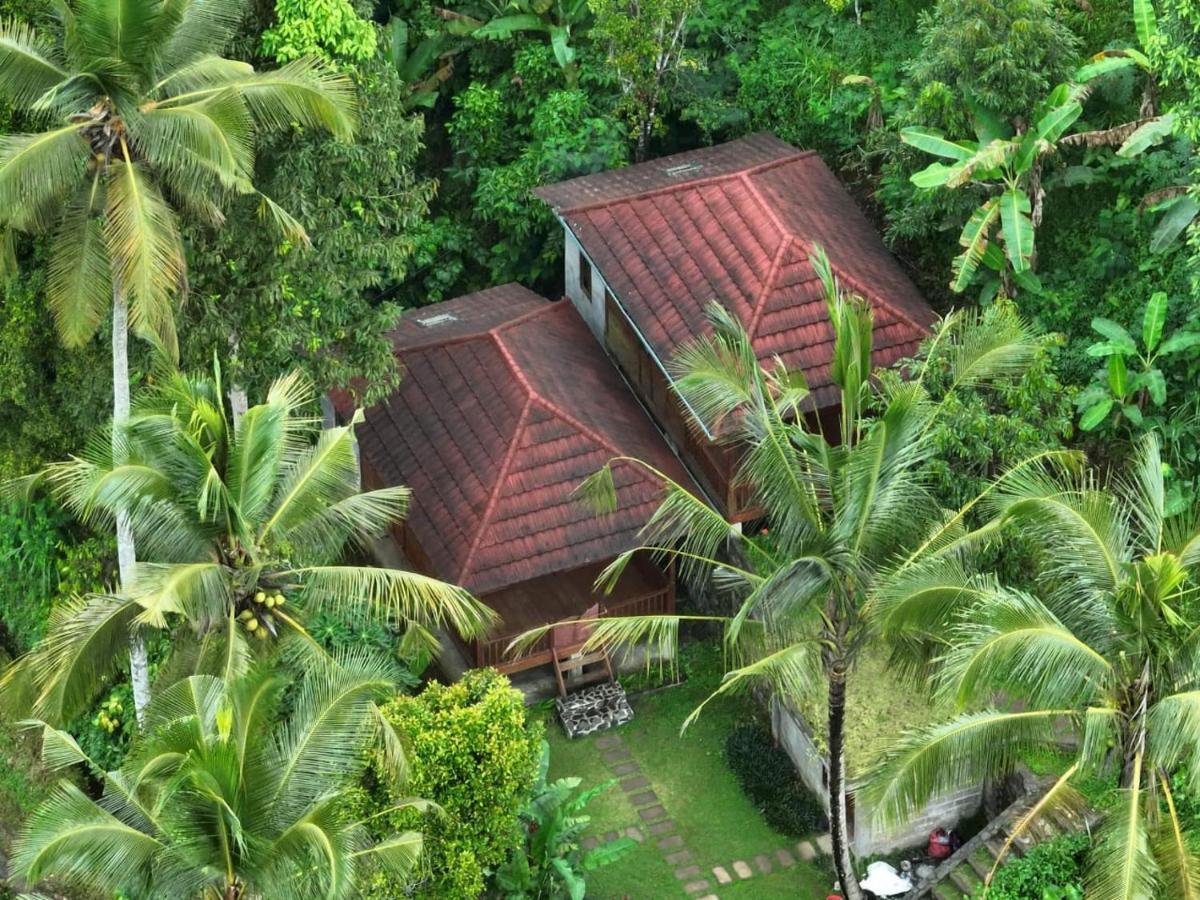 Uma D'Nyuh Homestay Singaraja  Exterior photo